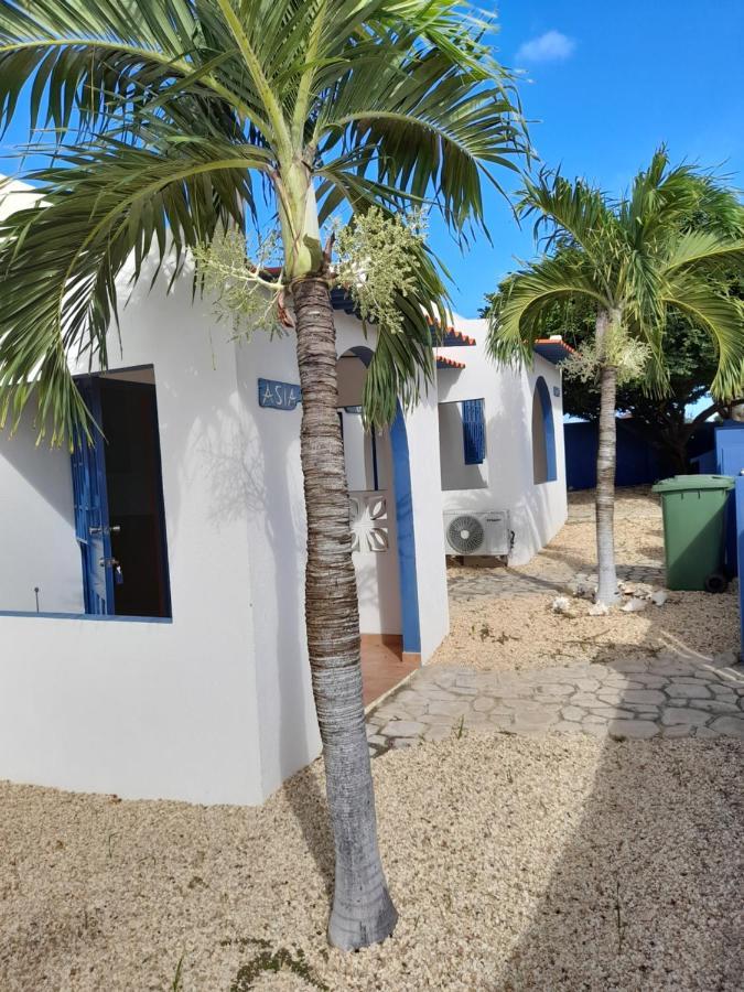 Caribbean Chillout Apartments Playa Kültér fotó