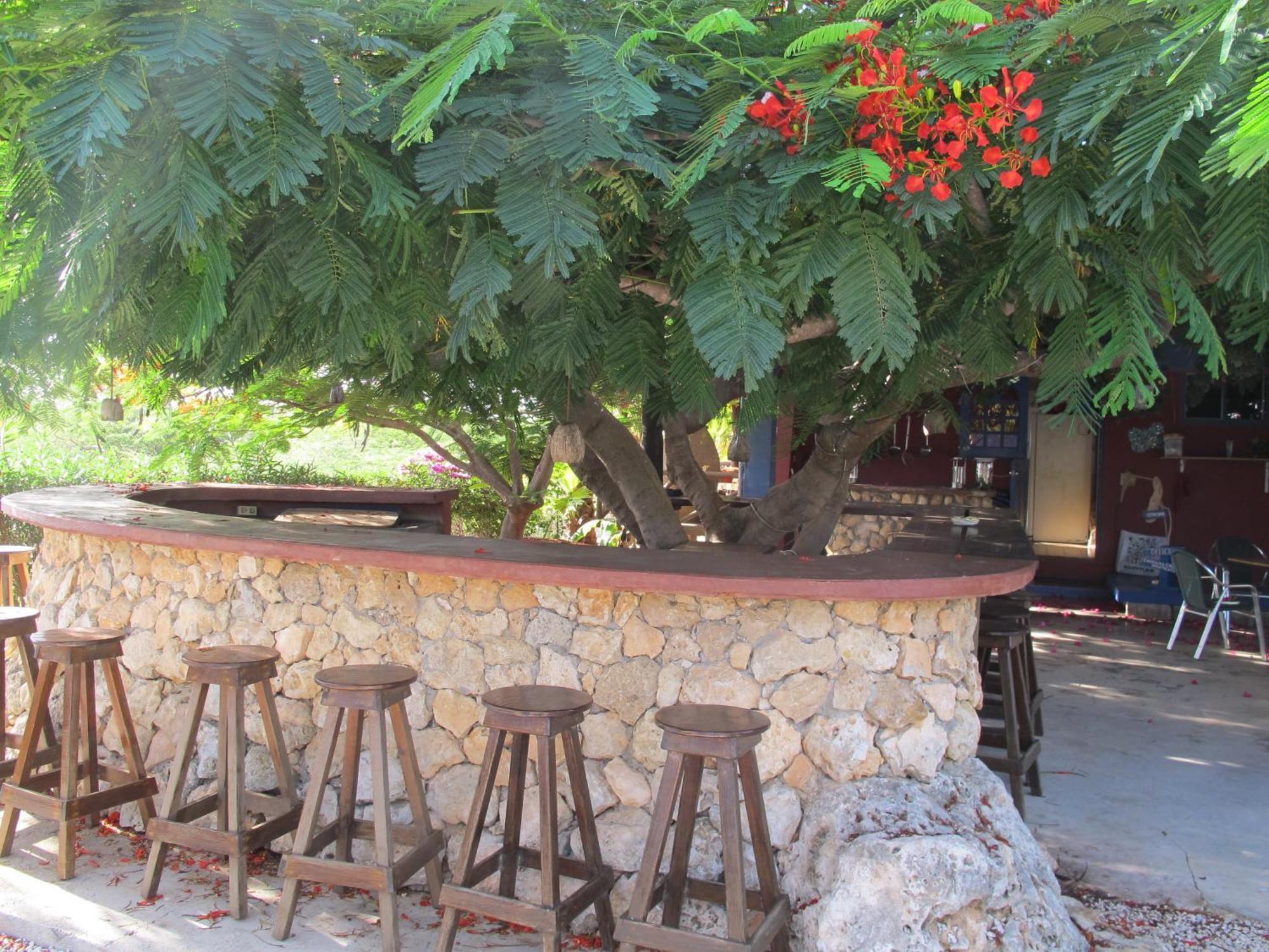 Caribbean Chillout Apartments Playa Kültér fotó