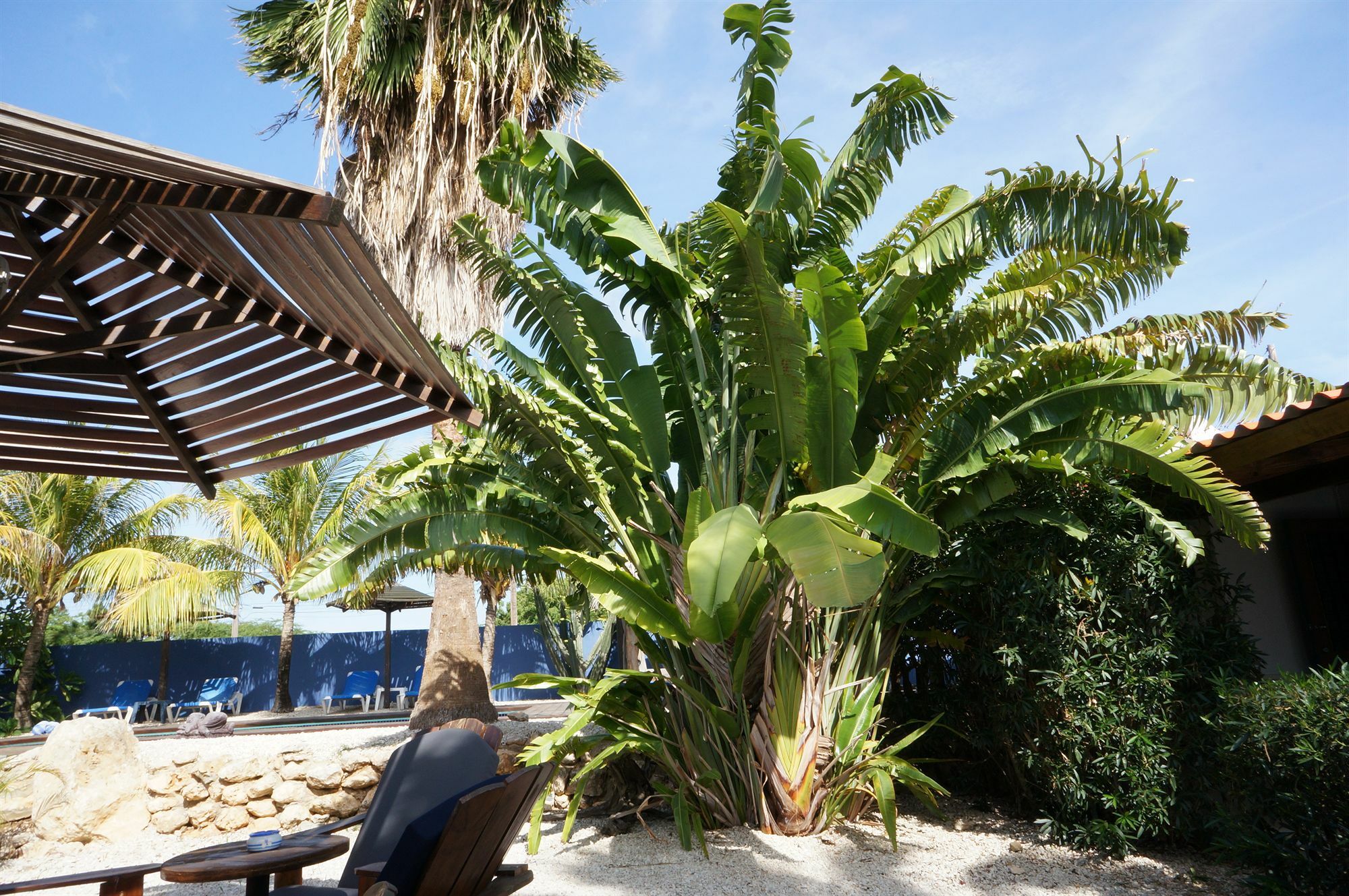Caribbean Chillout Apartments Playa Kültér fotó